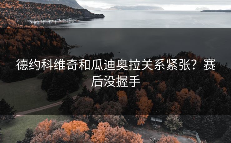 德约科维奇和瓜迪奥拉关系紧张？赛后没握手