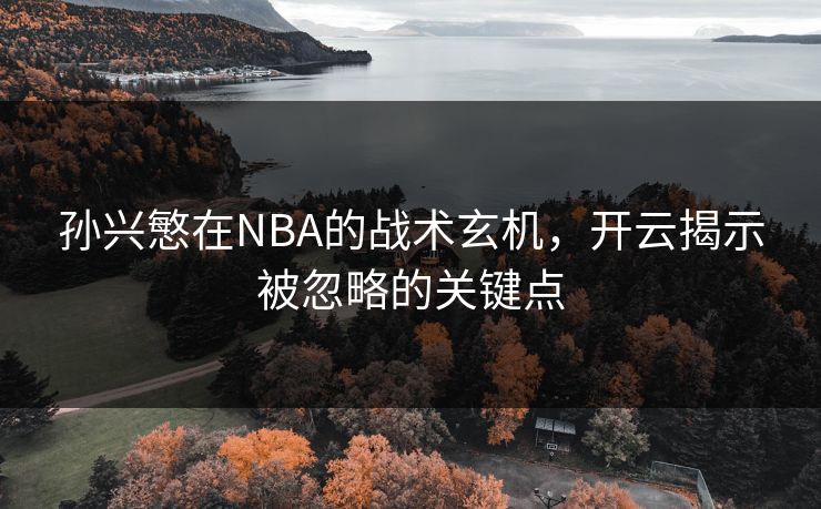 孙兴慜在NBA的战术玄机，开云揭示被忽略的关键点